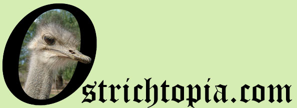 Welcome to Ostrichtopia.com!